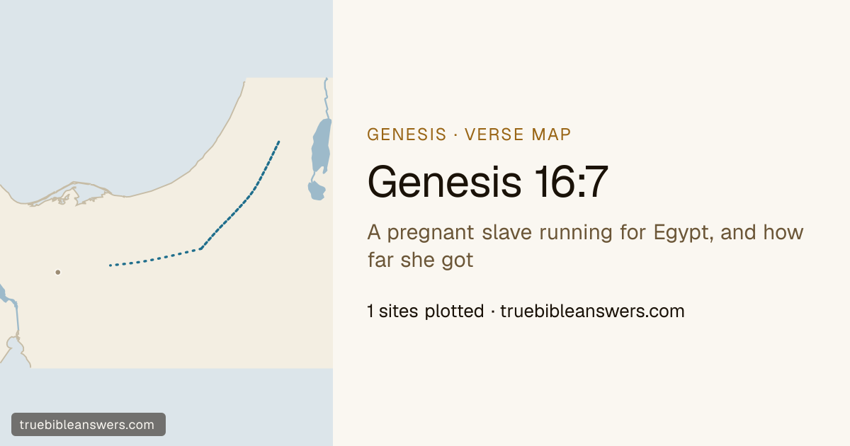 Map of Genesis 16:7: A pregnant slave running for Egypt, and how far she got — 1 sites plotted